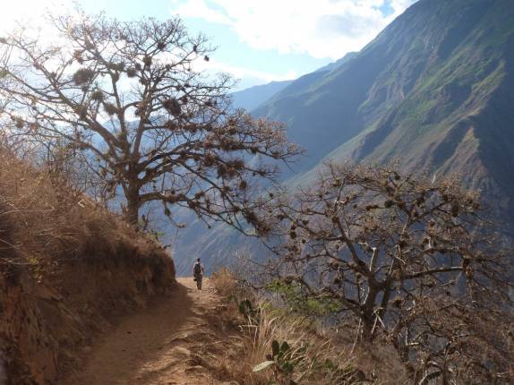 Trilha para as ruínas incas de Choquequirao, no Peru